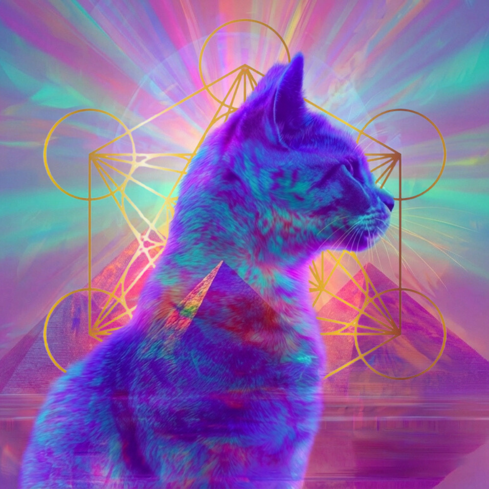 when enlightenment had whiskers