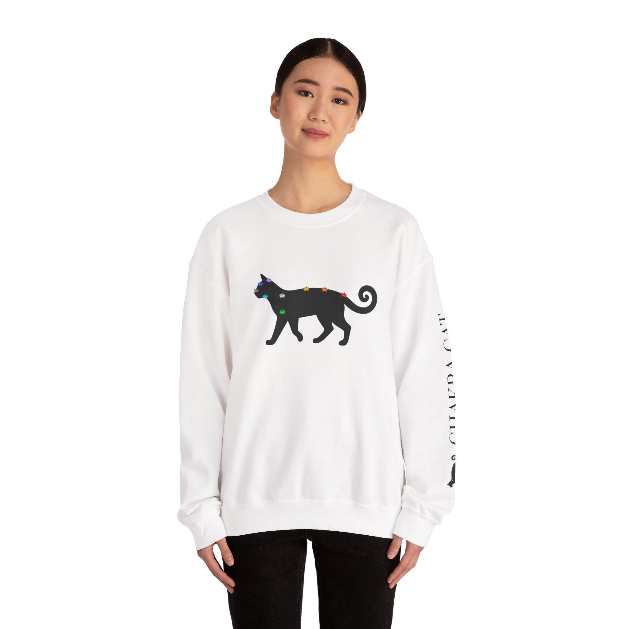 Black Cat Chakra Pullover
